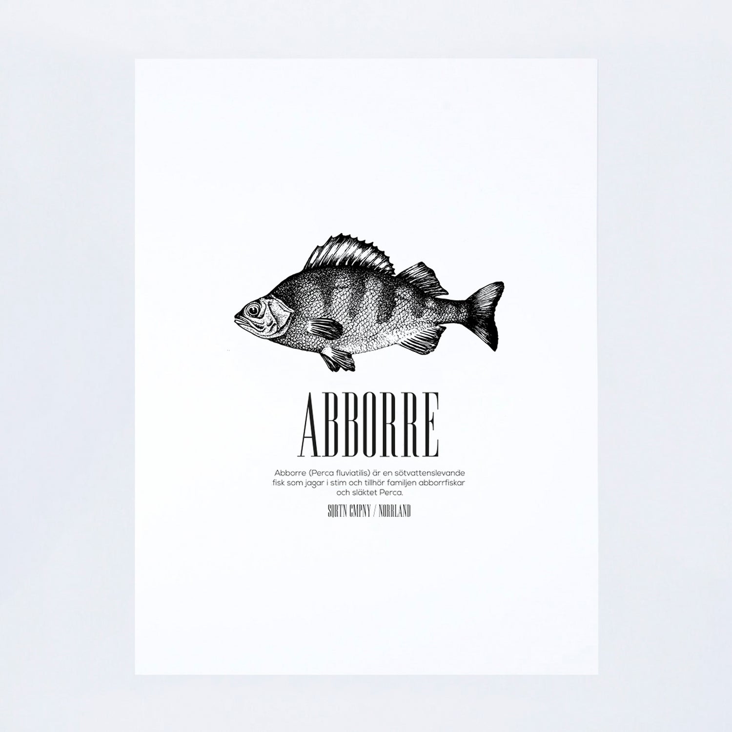 POSTER FISK ABBORRE