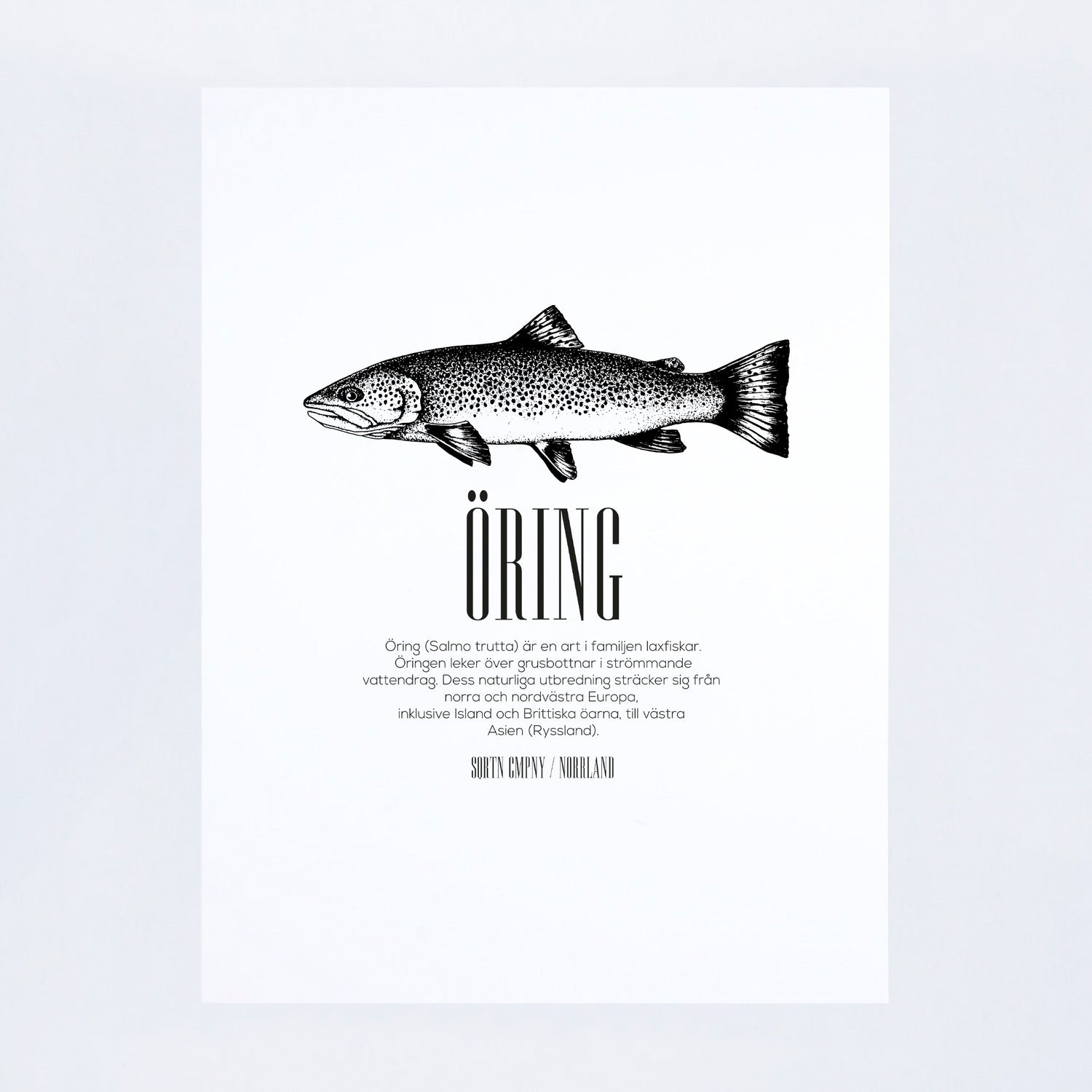 POSTER FISK ÖRING