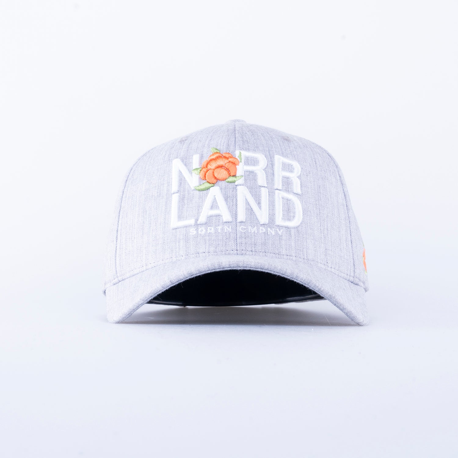 REPRESENT 120 CAP - GREY