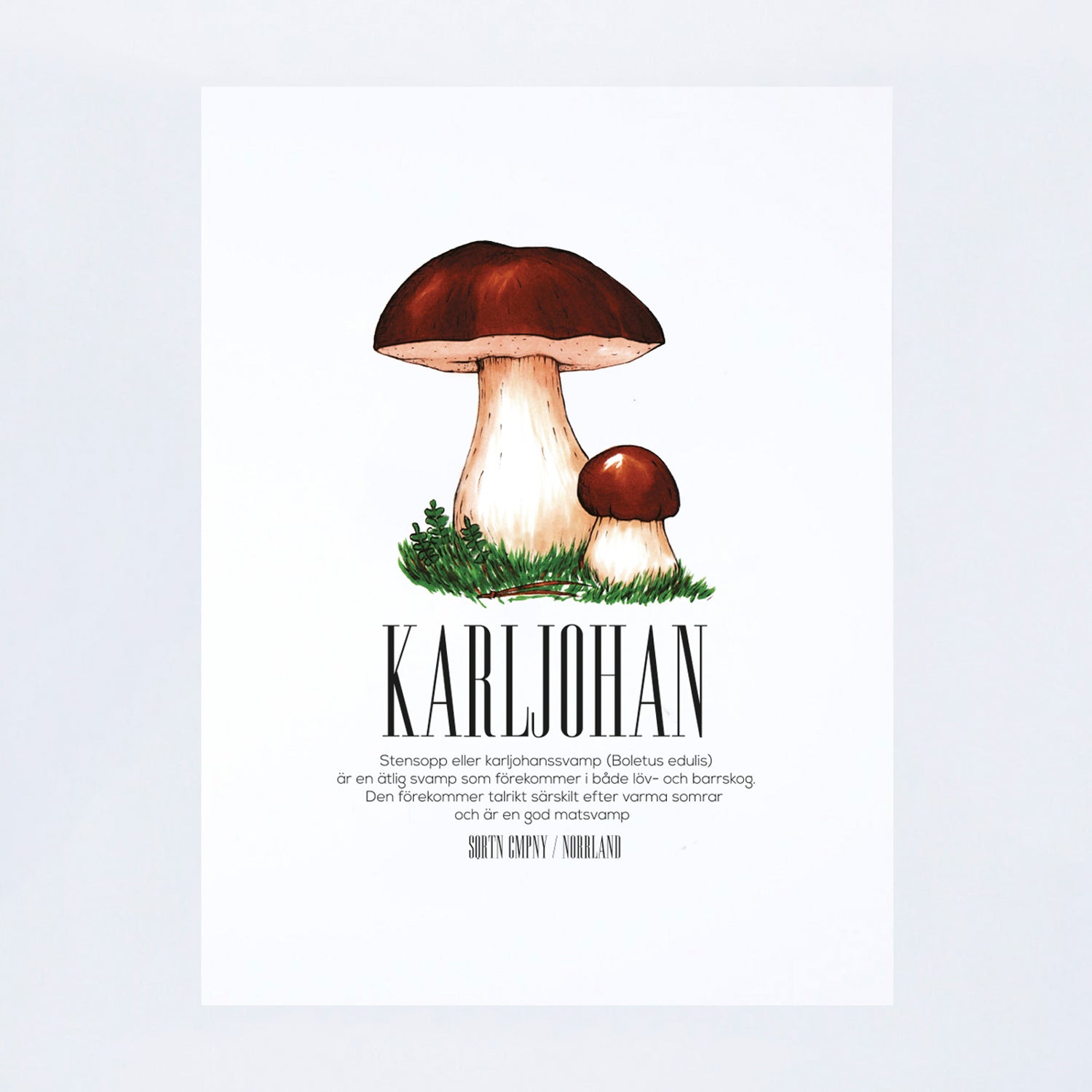 POSTER KARLJOHAN
