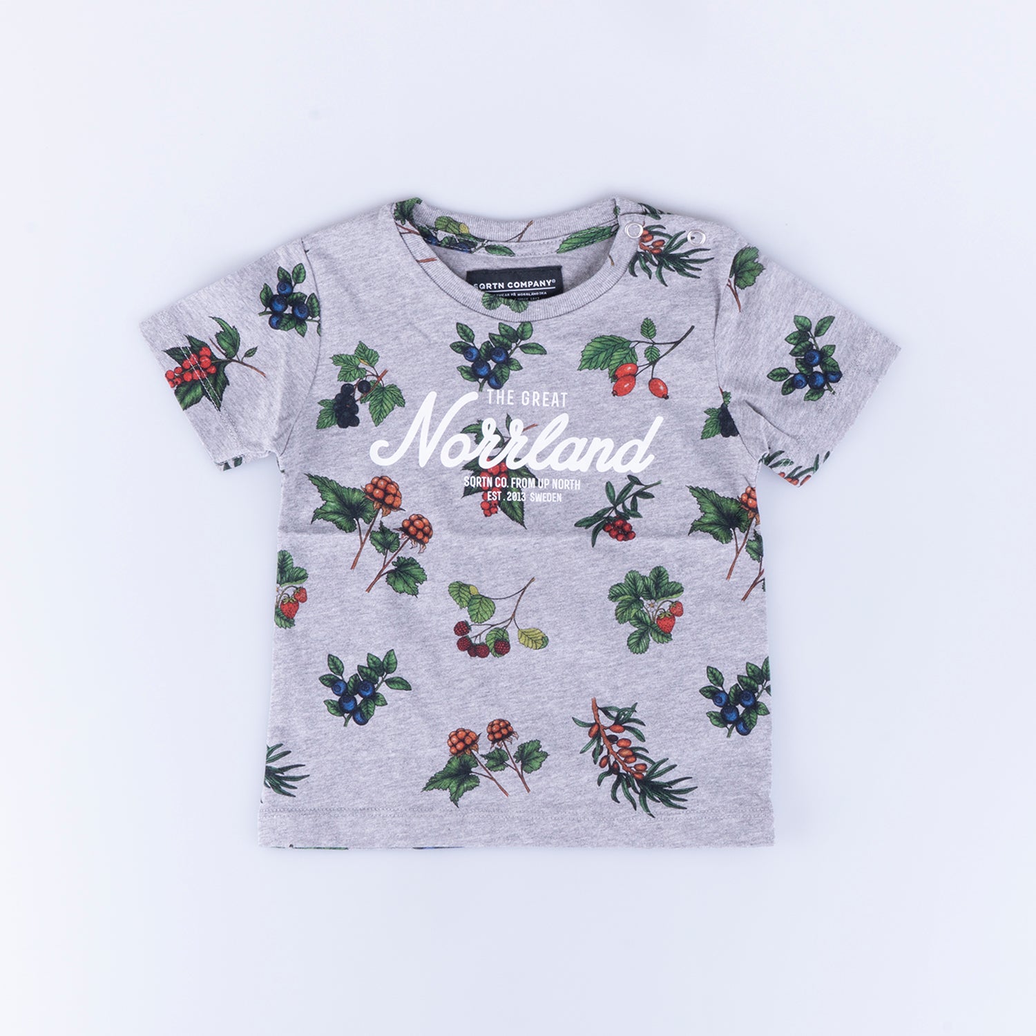 GREAT NORRLAND KIDS T-SHIRT - BERRY GREY